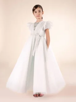 Embellished Plumentis Gown