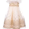 Embroidered Organza Gown
