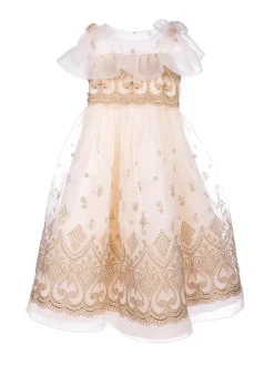 Embroidered Organza Gown