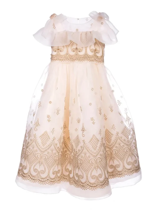 Embroidered Organza Gown