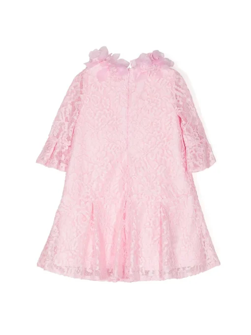 Volant-Embroidered Lace Dress