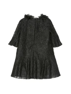 Volant-Embroidered Lace Dress