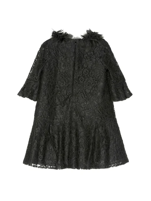 Volant-Embroidered Lace Dress